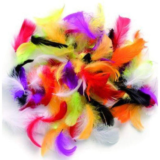 glorex-deco-federn-bunt-sortiert-75EDBC761.jpg
