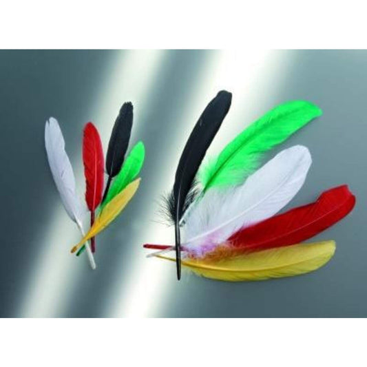 glorex-indianerfeder-13cm-15-stueck-D227EA2A1.jpg