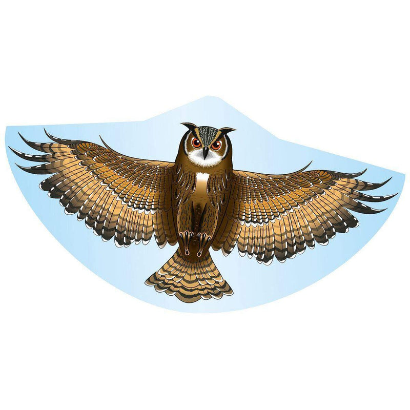 guenther-einleinerdrachen-122x68cm-eule-pe-9593FC6C1.jpg