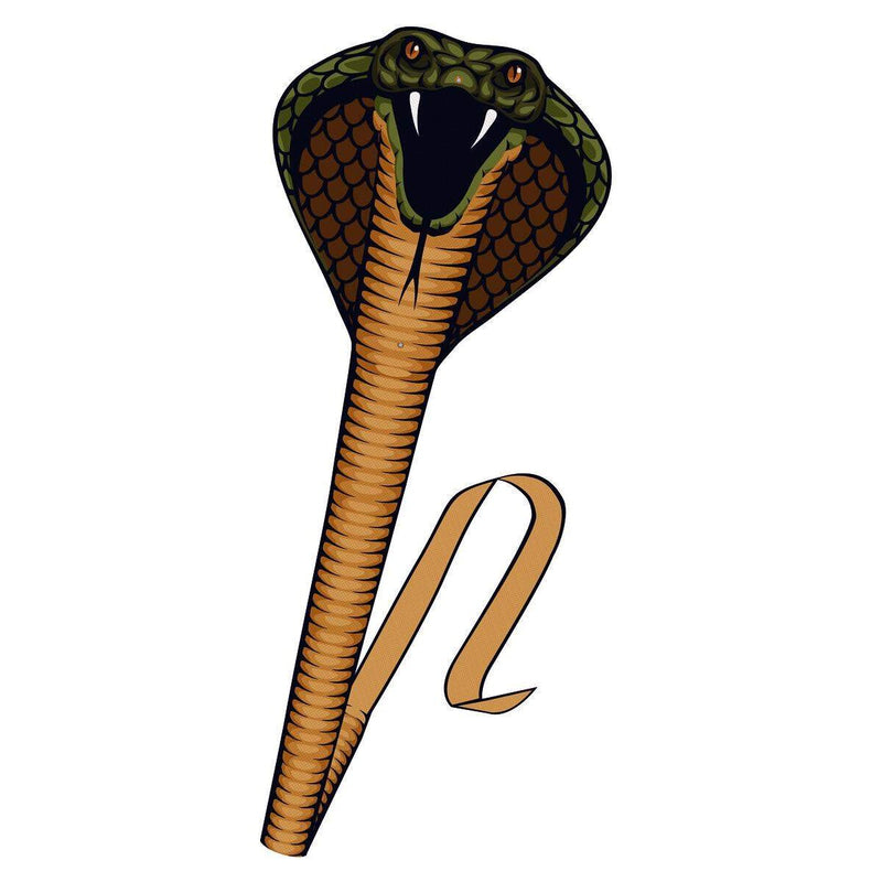 guenther-einlinerdrachen-cobra-69-x-40F2D6901.jpg