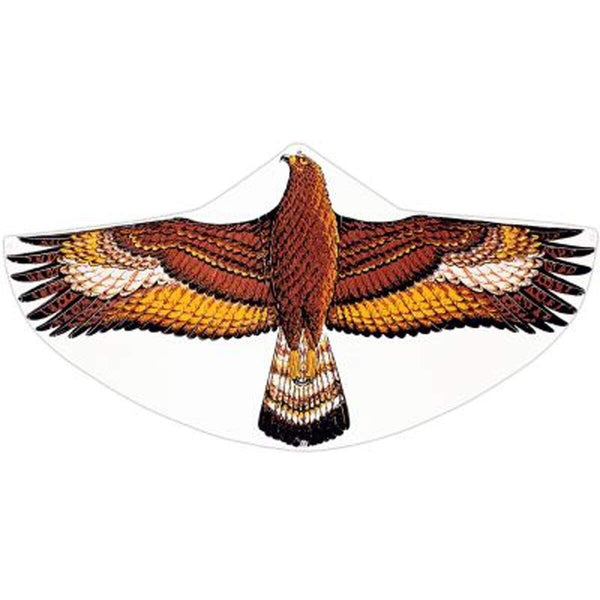 guenther-kinderdrachen-steinadler-C5F137791.jpg
