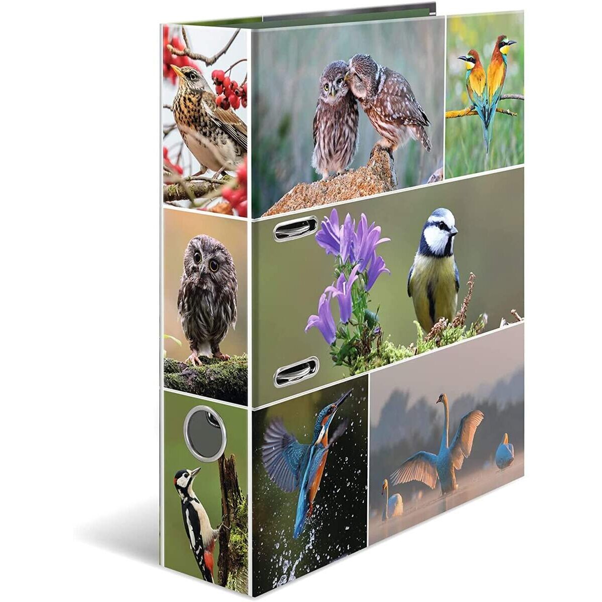 herma-19254-motiv-ordner-a4-FF5B1ED31.jpg