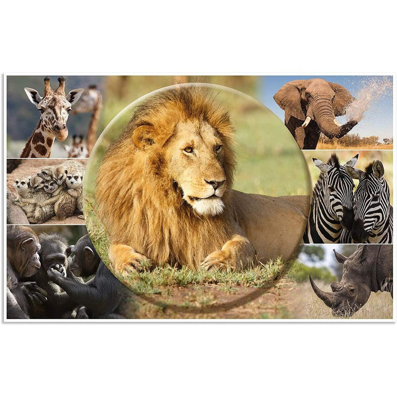 herma-19676-schreibtischunterlage-tiere-afrika-6CC22BBA1.jpg