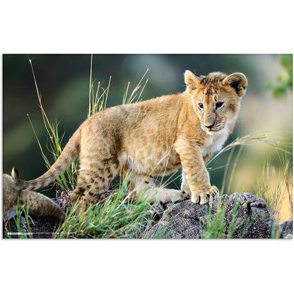 herma-19676-schreibtischunterlage-tiere-afrika-6CC22BBA2.jpg