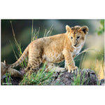 herma-19676-schreibtischunterlage-tiere-afrika-6CC22BBA2.jpg