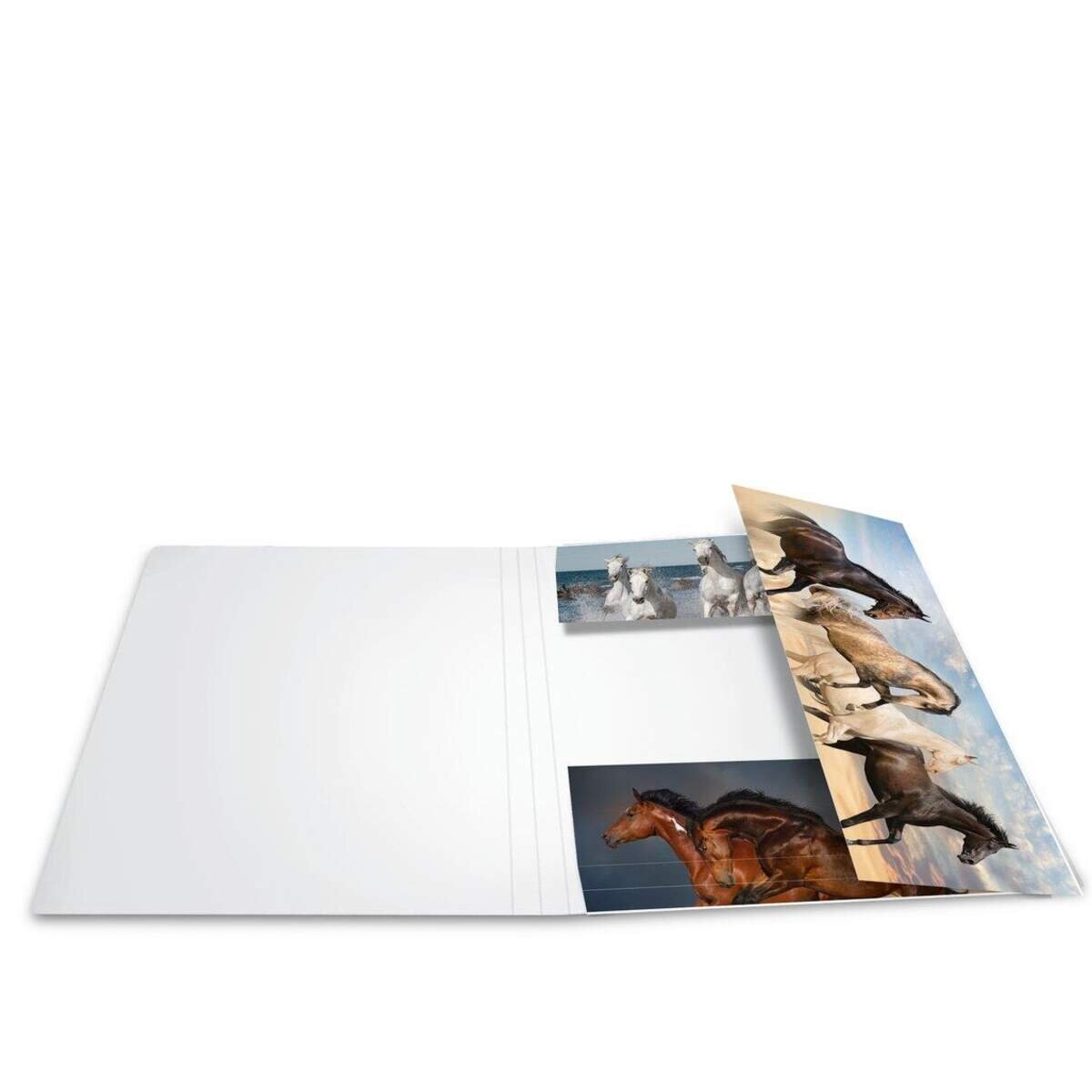 herma-sammelmappe--eckspanner-a3-B1EF26FA2.jpg