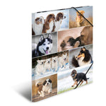 herma-sammelmappe-a3-hunde-F25FEE6F1.jpg