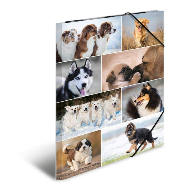 herma-sammelmappe-a3-hunde-F25FEE6F1.jpg