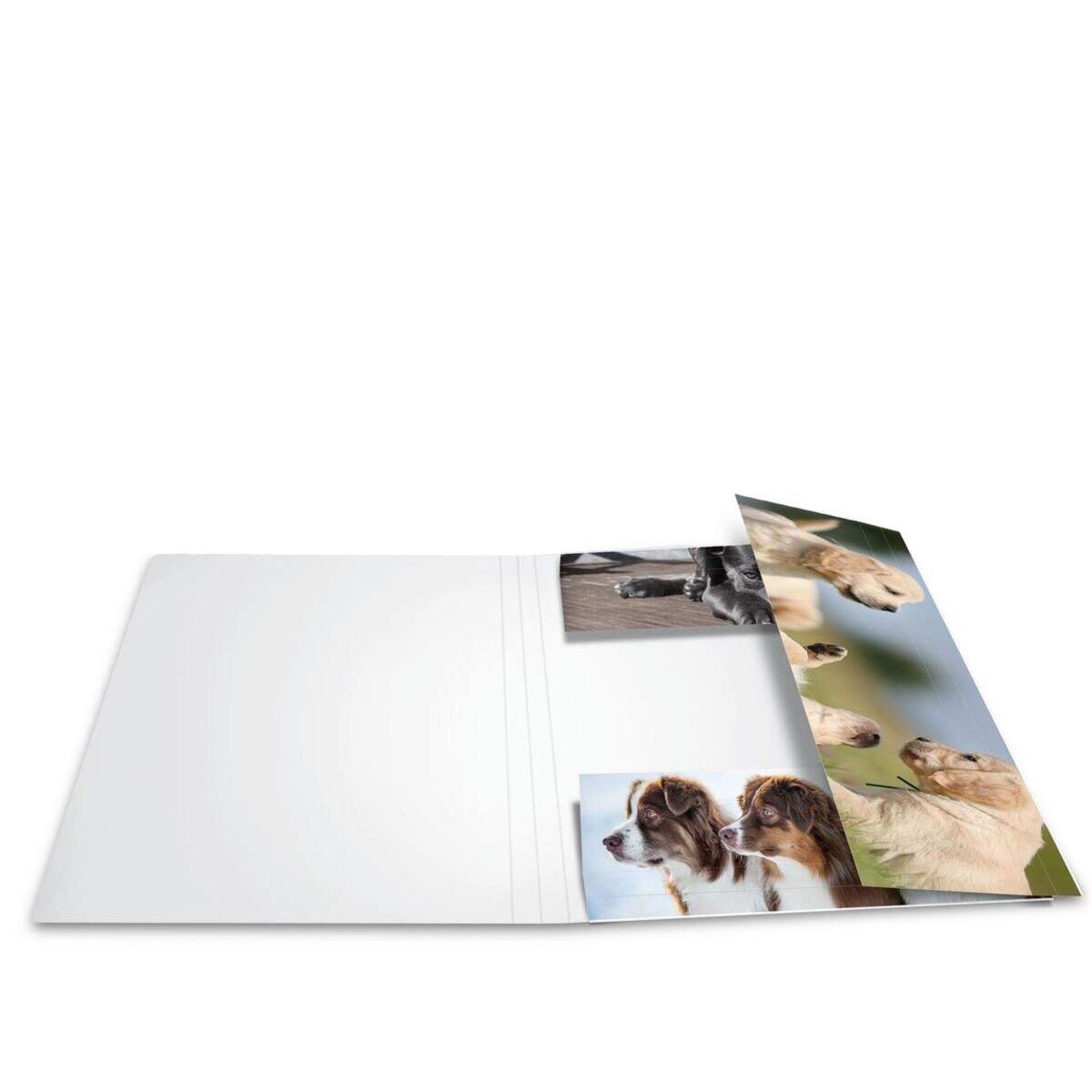 herma-sammelmappe-a3-hunde-F25FEE6F2.jpg
