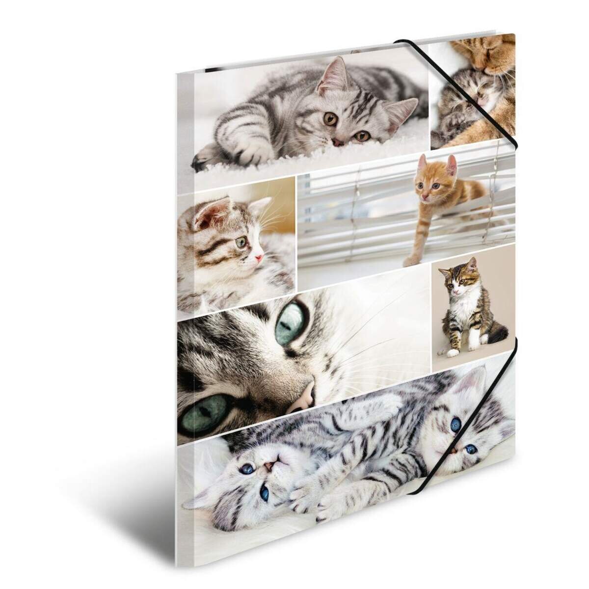 herma-sammelmappe-a3-karton-katzen-24E78EC71.jpg