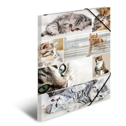 herma-sammelmappe-a3-karton-katzen-24E78EC71.jpg