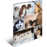 herma-sammelmappe-karton-hunde-a4-CA50BB301.jpg