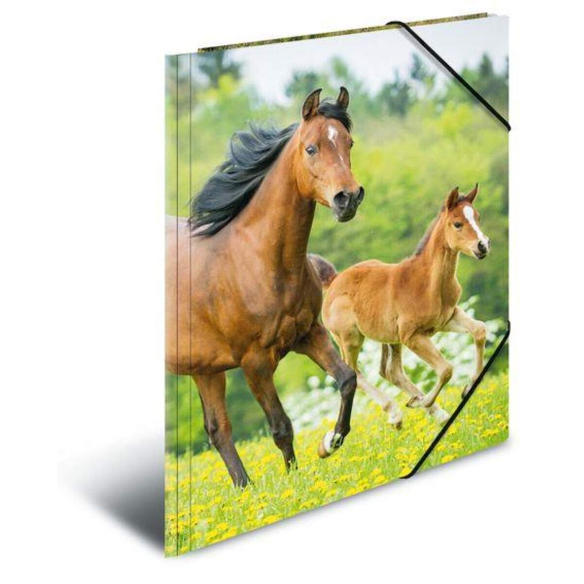 herma-sammelmappe-pferde-a3-B1FF2DED1.jpg