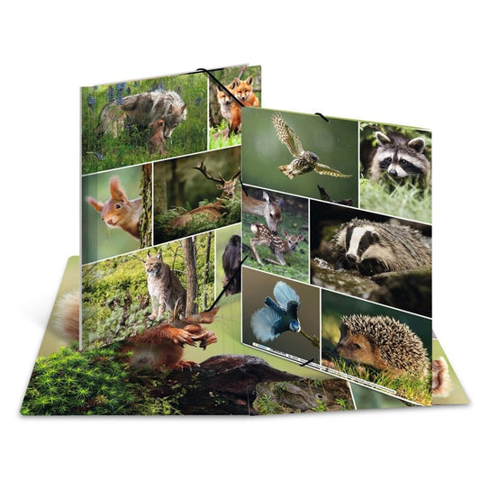 herma-sammelmappen-a4-karton-waldtiere-2B06B2A61.jpg