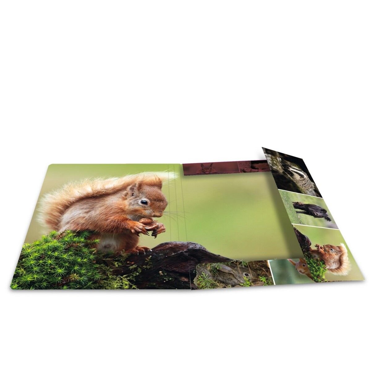 herma-sammelmappen-a4-karton-waldtiere-2B06B2A64.jpg