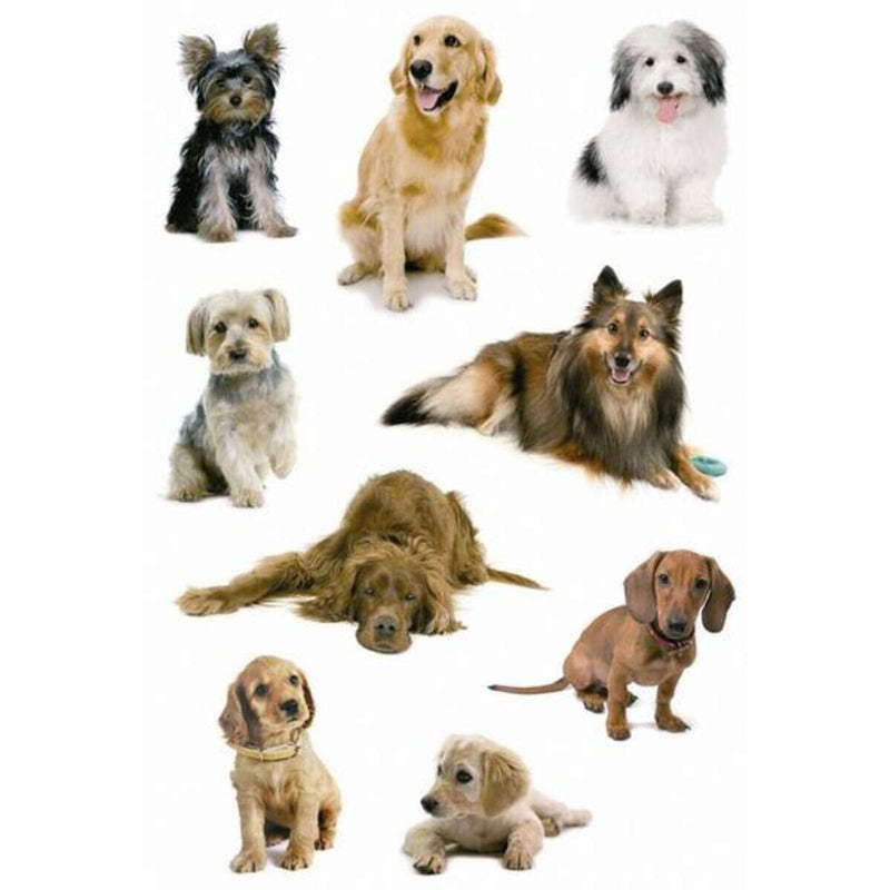herma-sticker-decor-hunde-3-61DA994A1.jpg