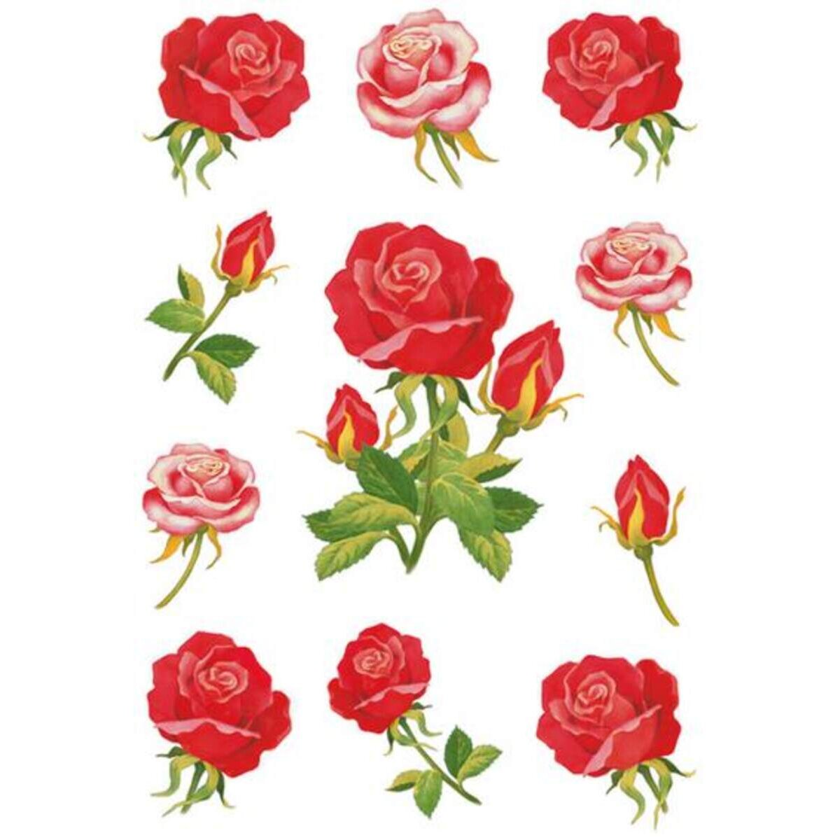 herma-sticker-decor-rosen-rot-8880982A1.jpg