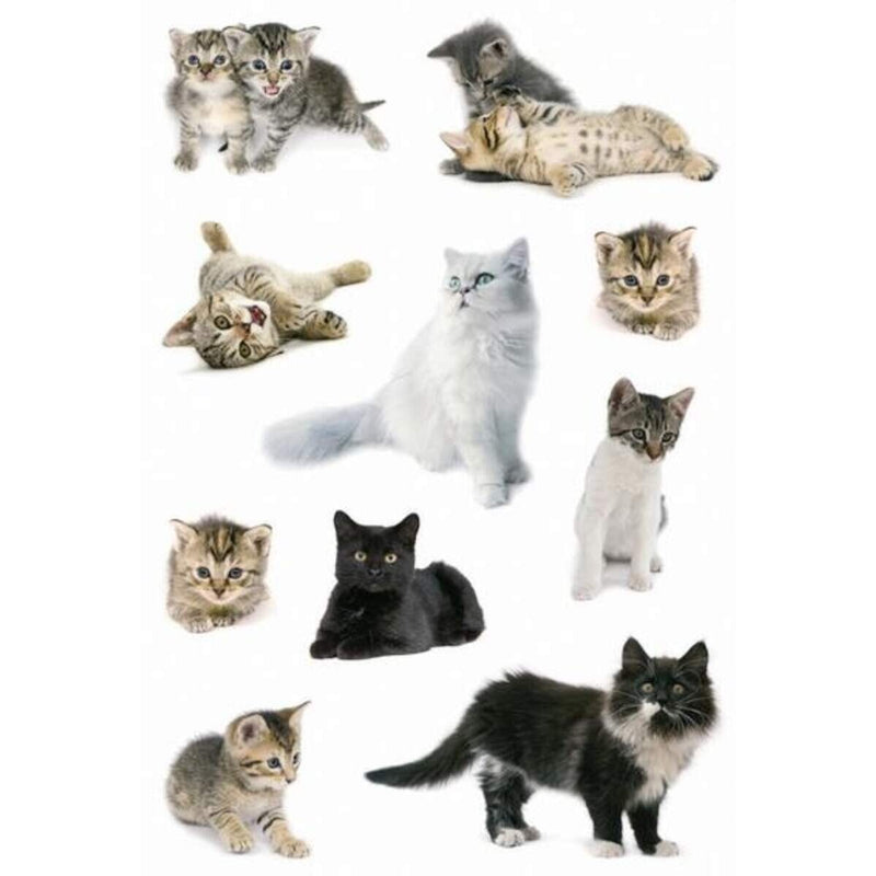 herma-sticker-katzenfotos-61DA55411.jpg