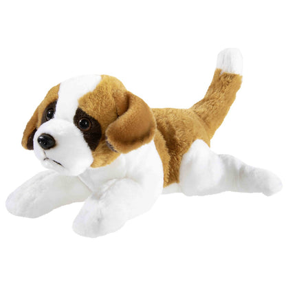 heunec-misanimo-bernhardiner-welpe-hund-C5108A131.jpg