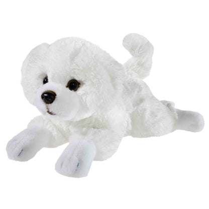 heunec-misanimo-terrier-welpe-hund-C51062901.jpg