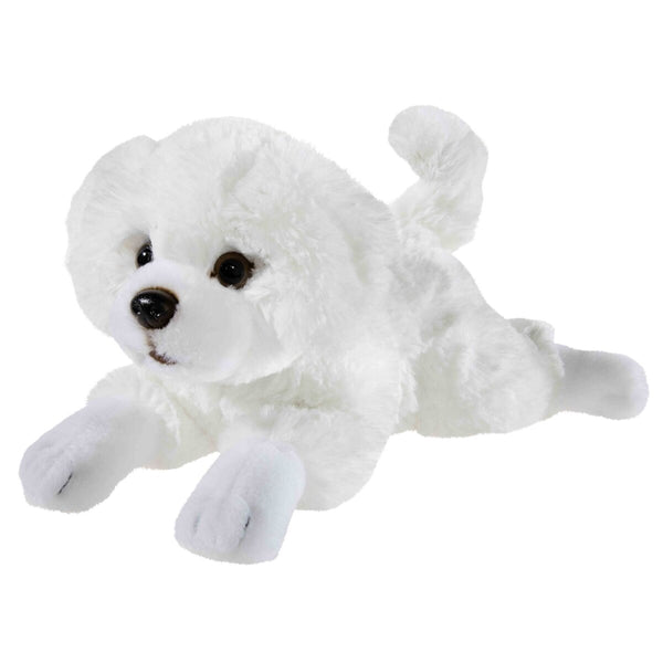 heunec-misanimo-terrier-welpe-hund-C51062901.jpg