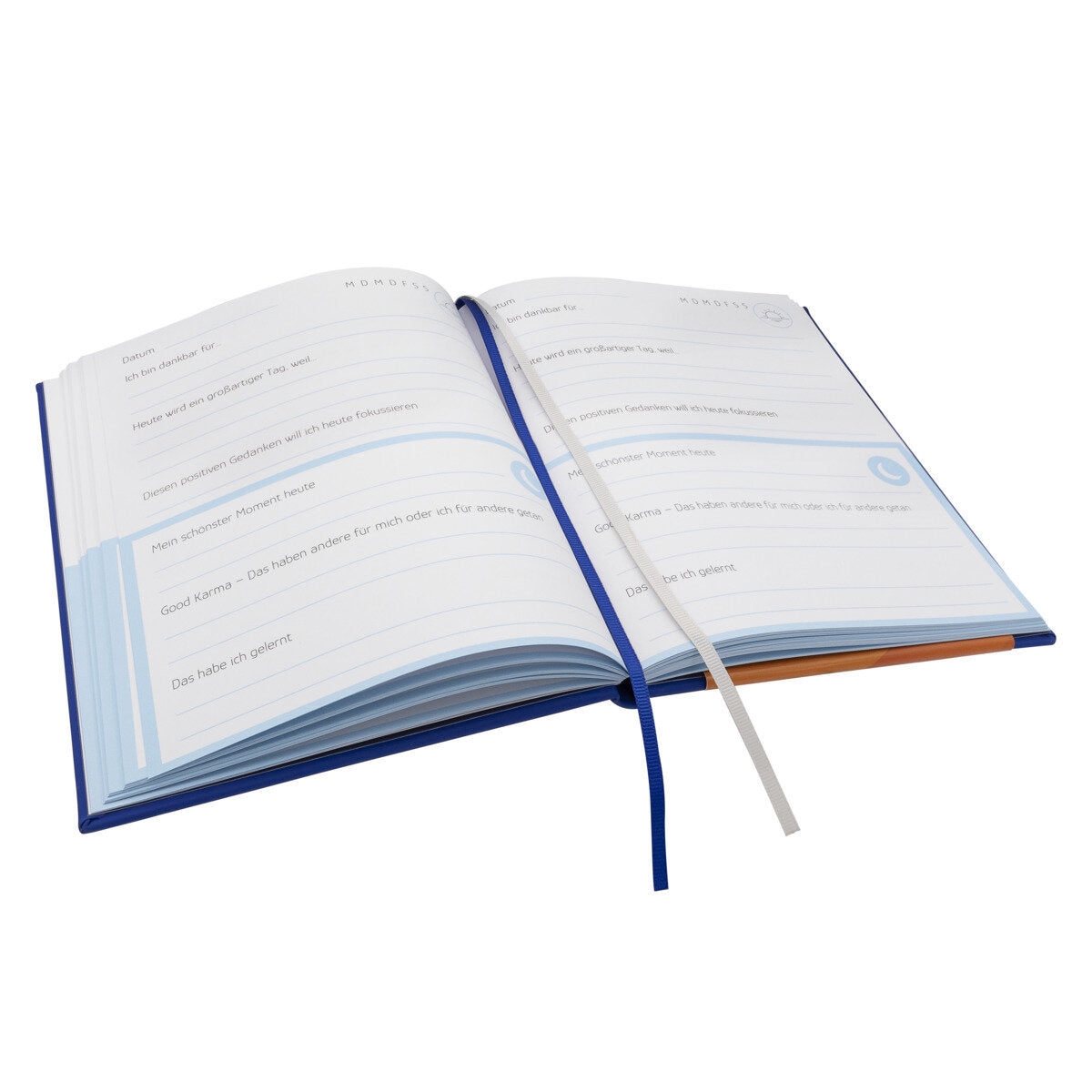 idena-5-minuten-tagebuch-4581D1A76.jpg