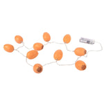 idena-lichterkette-ostern-ostern-10led-501B373E5.jpg
