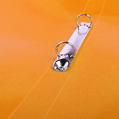 idena-ringbuch-din-a4-2-6F3BF67D5.jpg
