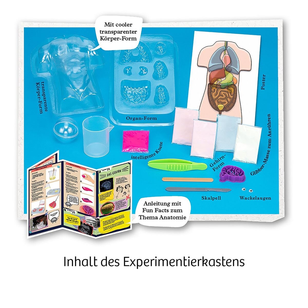 KOSMOS Fun Science Glibber-Organe / Squishy Organs International (mehrsprachig)