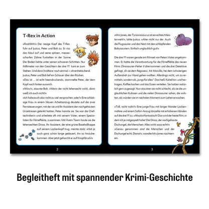 kosmos-krimipuzzle-die-drei--A23602443.jpg