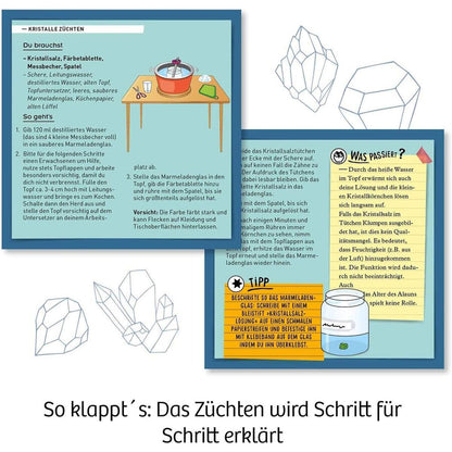kosmos-rote-kristalle-selbst-zuechten-2A9DF3314.jpg
