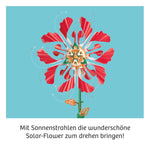 kosmos-solar-flower-7B90BB843.jpg