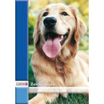 landre-zeichenblock-a4-20blatt-100g-44B89E812.jpg
