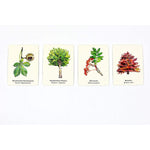 laurence-king-verlag---B6BC3C4B2.jpg
