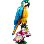 lego-creator-exotischer-papagei-4937DF9E3.jpg