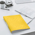 leitz-a4-ringbuch-2-ringe-AA8845AD5.jpg