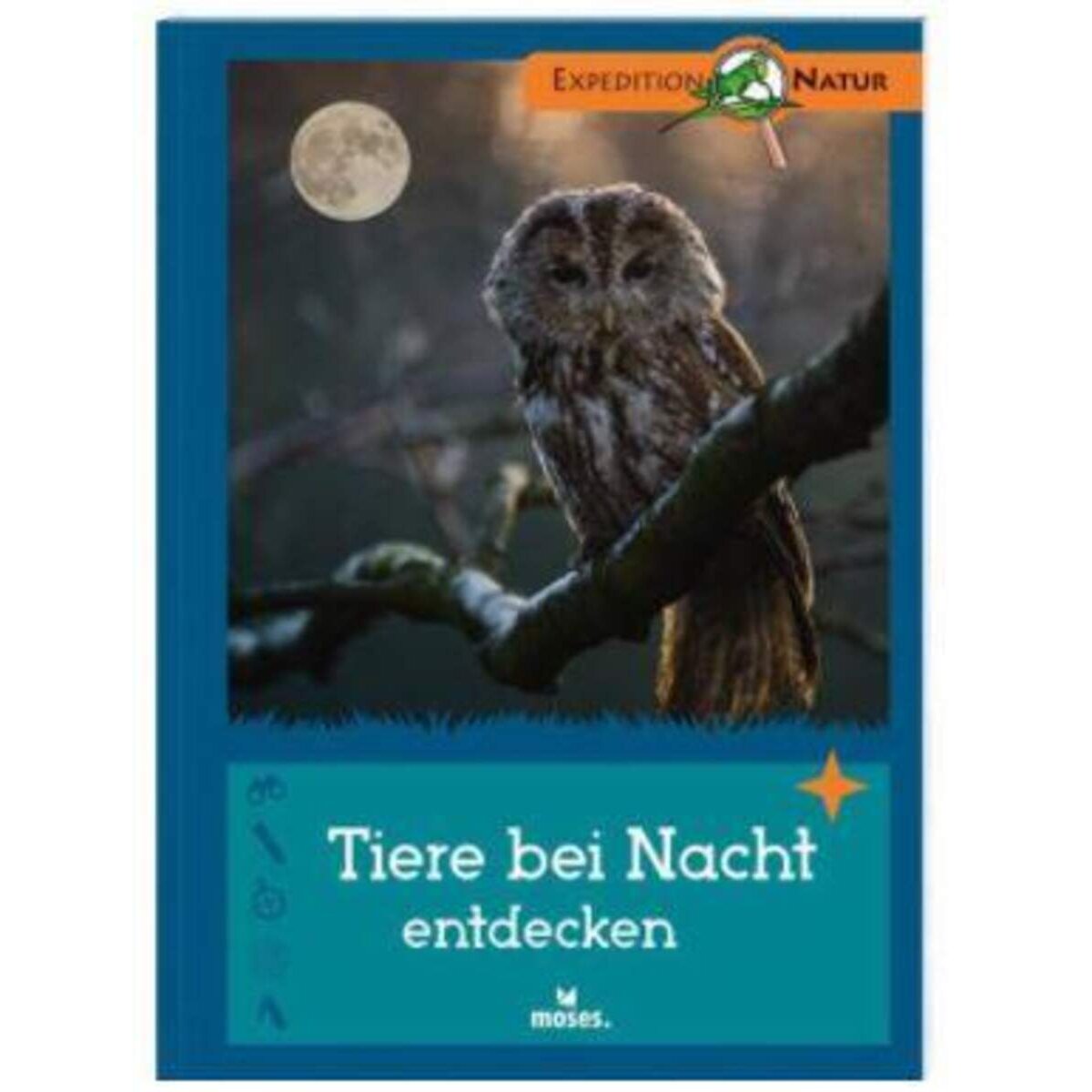 moses. Expedition Natur - Tiere bei Nacht entdecken