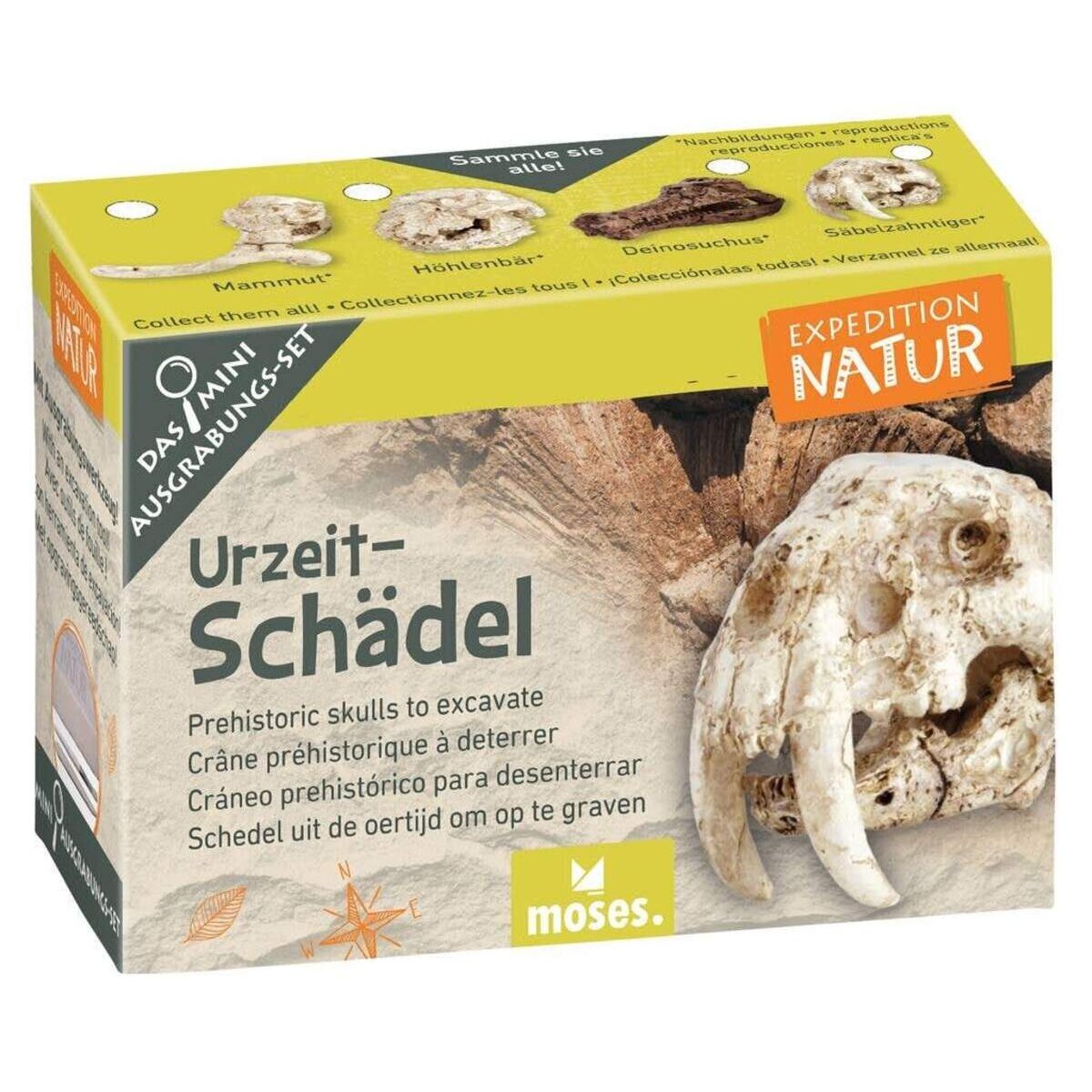 moses. Expedition Natur Mini-Ausgrabungsset, 1 Stück, sortiert