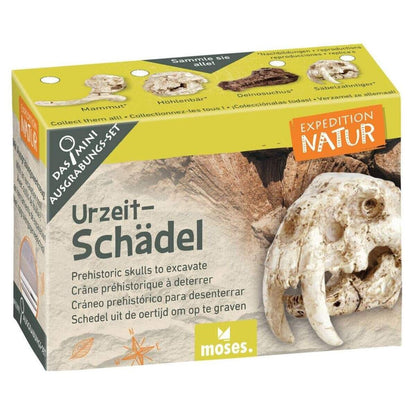 moses. Expedition Natur Mini-Ausgrabungsset, 1 Stück, sortiert