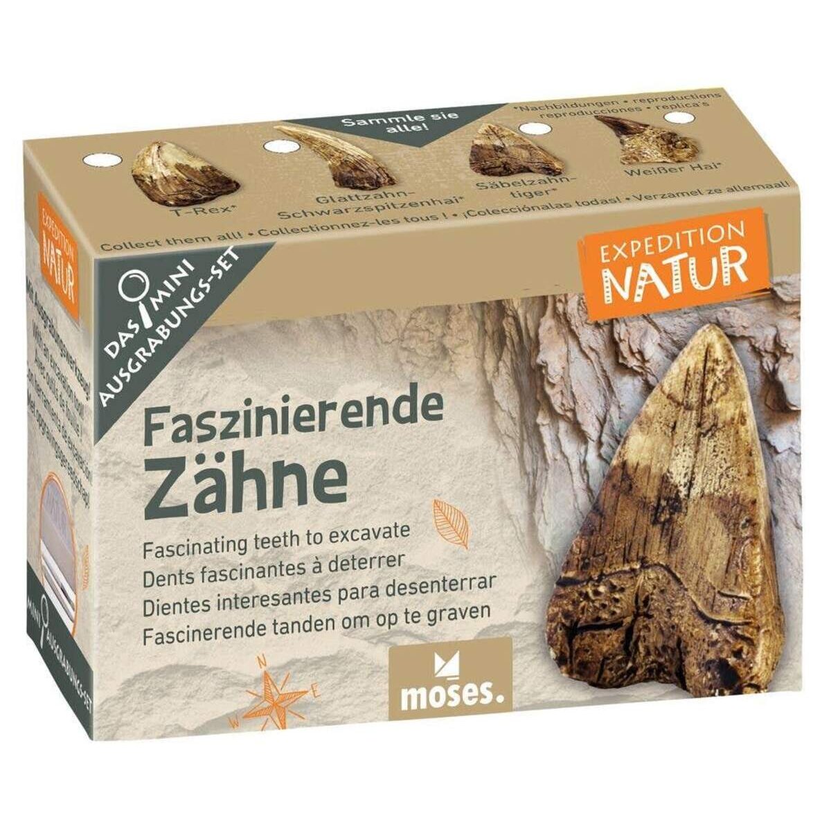 moses. Expedition Natur Mini-Ausgrabungsset, 1 Stück, sortiert