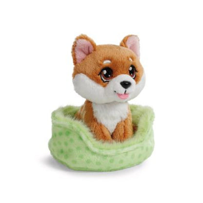 nici-hund-shiba-inu-im-74FBEC871.jpg