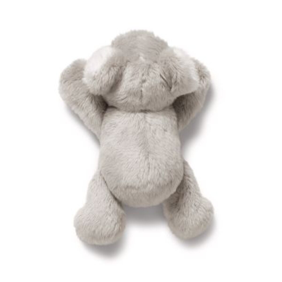 nici-magnici-koala-barry-6-C8DFC9083.jpg