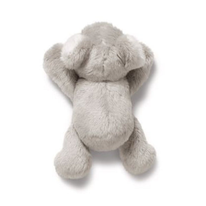 nici-magnici-koala-barry-6-C8DFC9083.jpg