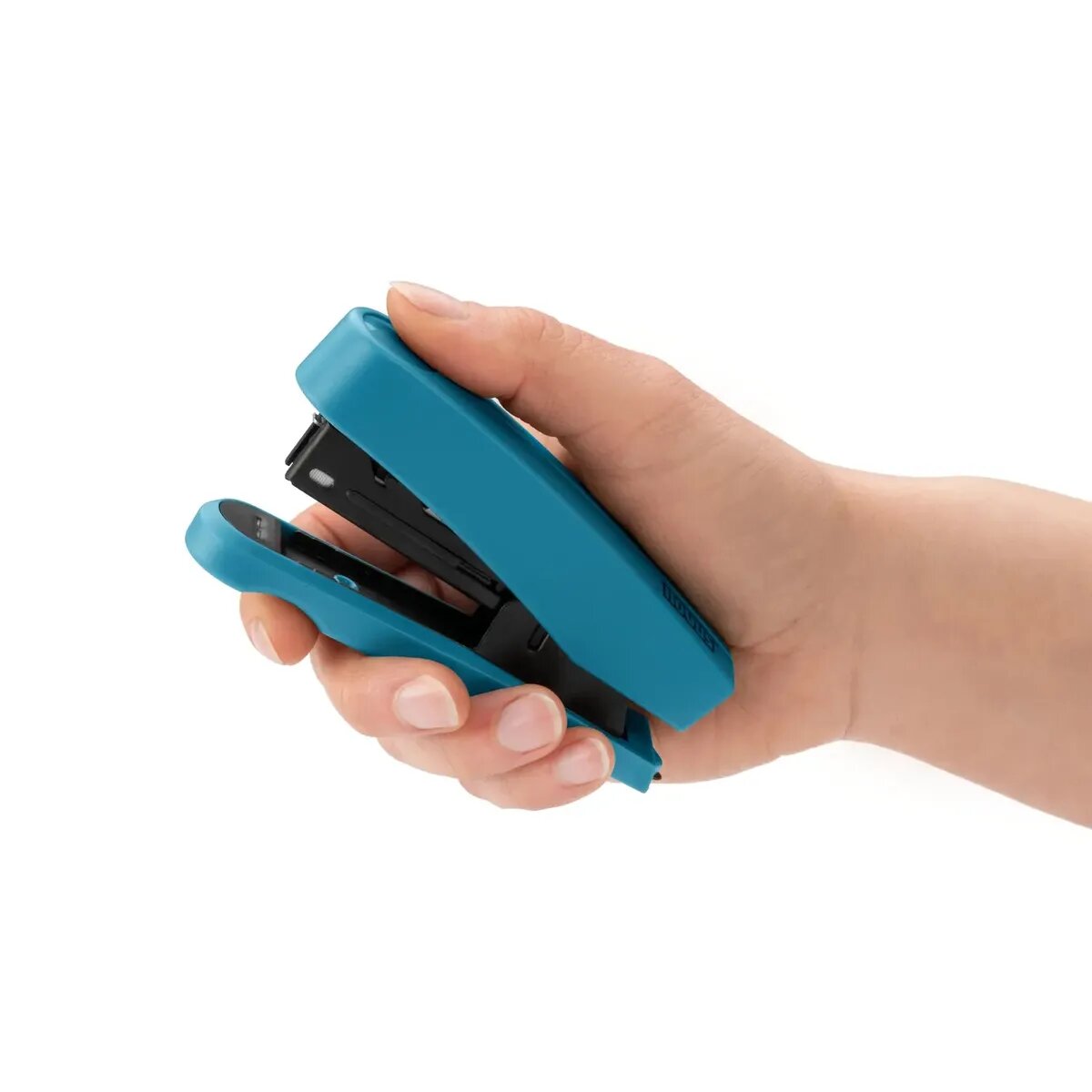 novus-b-10-professional-colorid-C883DBB12.jpg