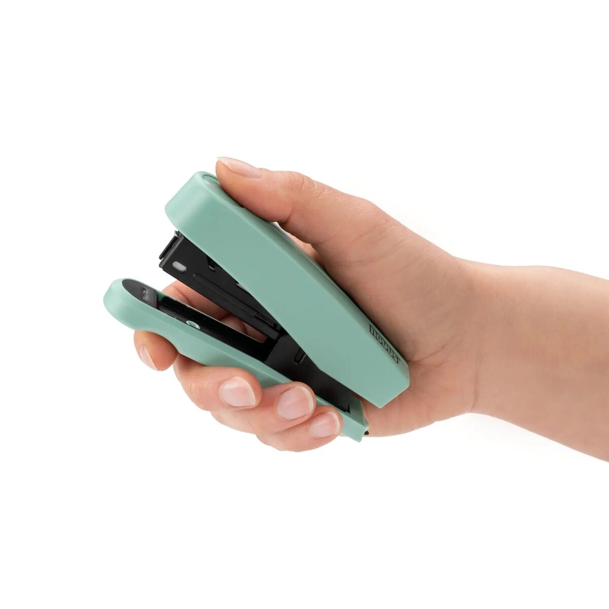 novus-b-10-professional-colorid-FD62D4CA2.jpg
