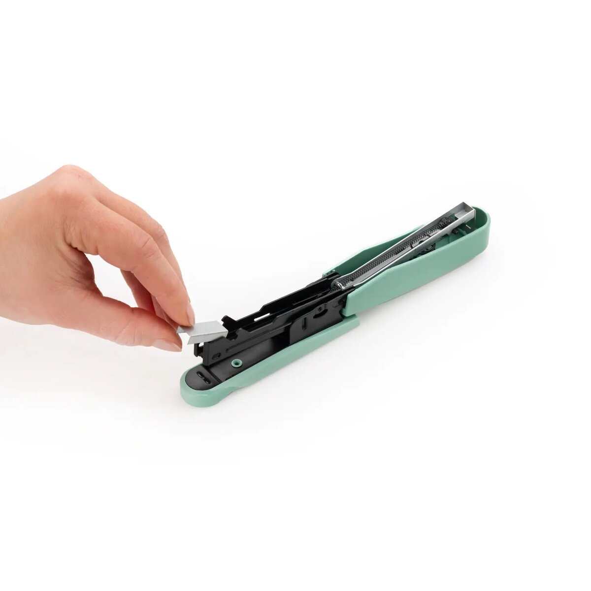 novus-b-10-professional-colorid-FD62D4CA3.jpg