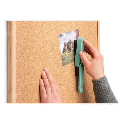novus-b-10-professional-colorid-FD62D4CA6.jpg
