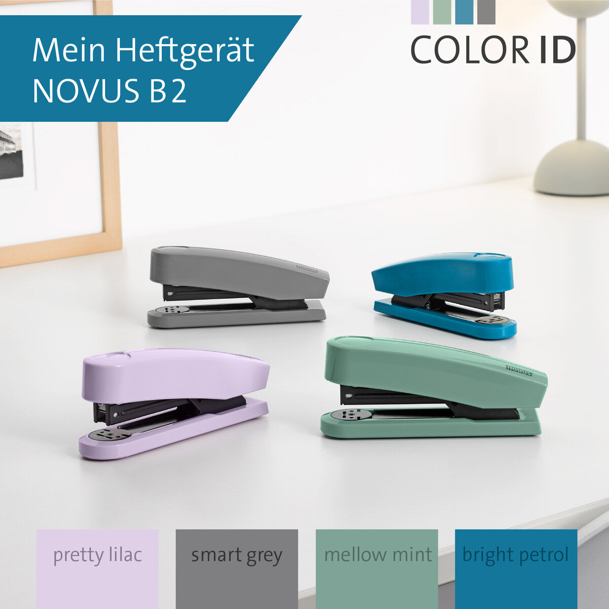 novus-b-2-color-id-81D211302.jpg
