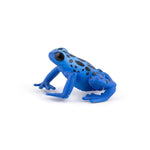 papo-50175-blauer-aequatorial-frosch-9A499C1B2.jpg