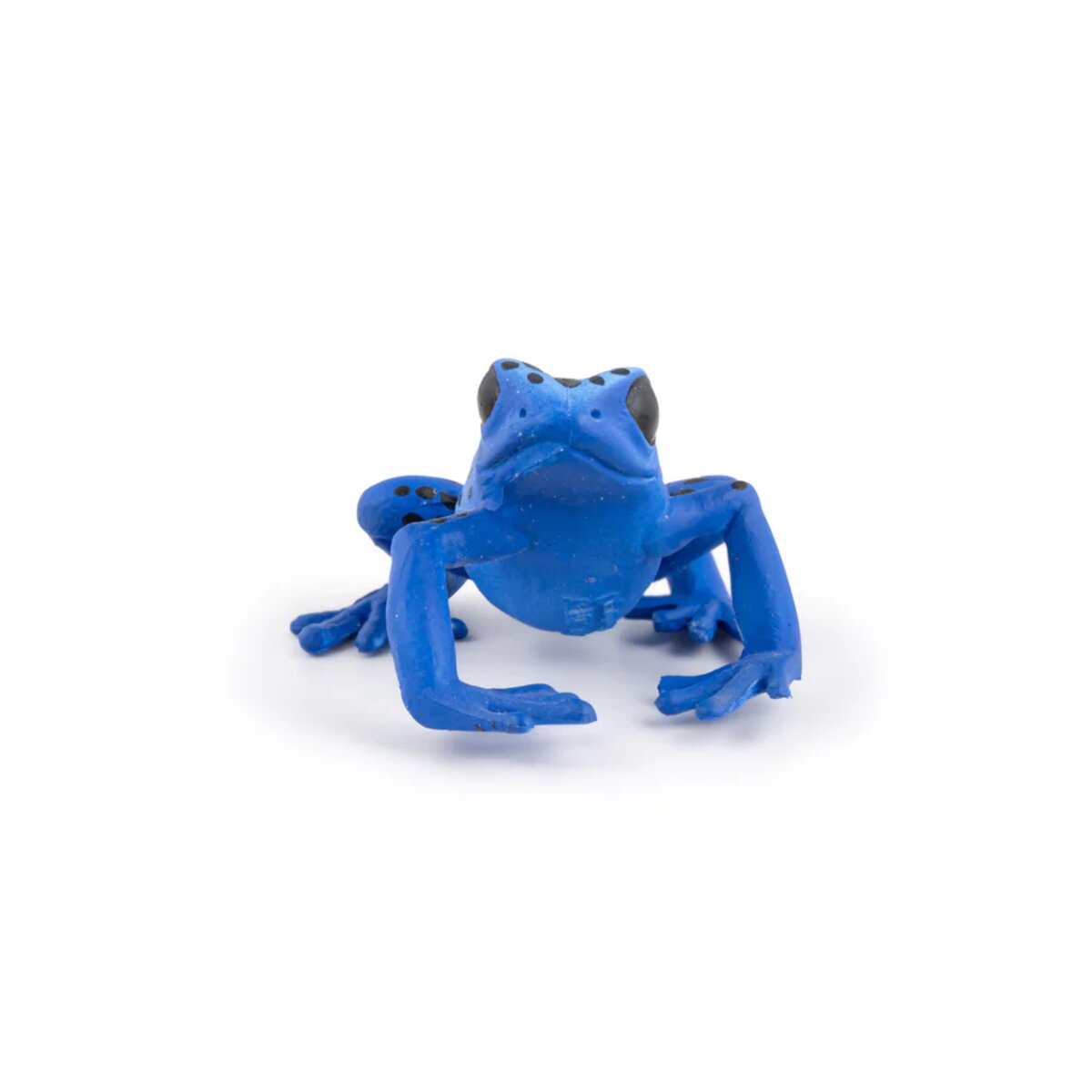 papo-50175-blauer-aequatorial-frosch-9A499C1B3.jpg